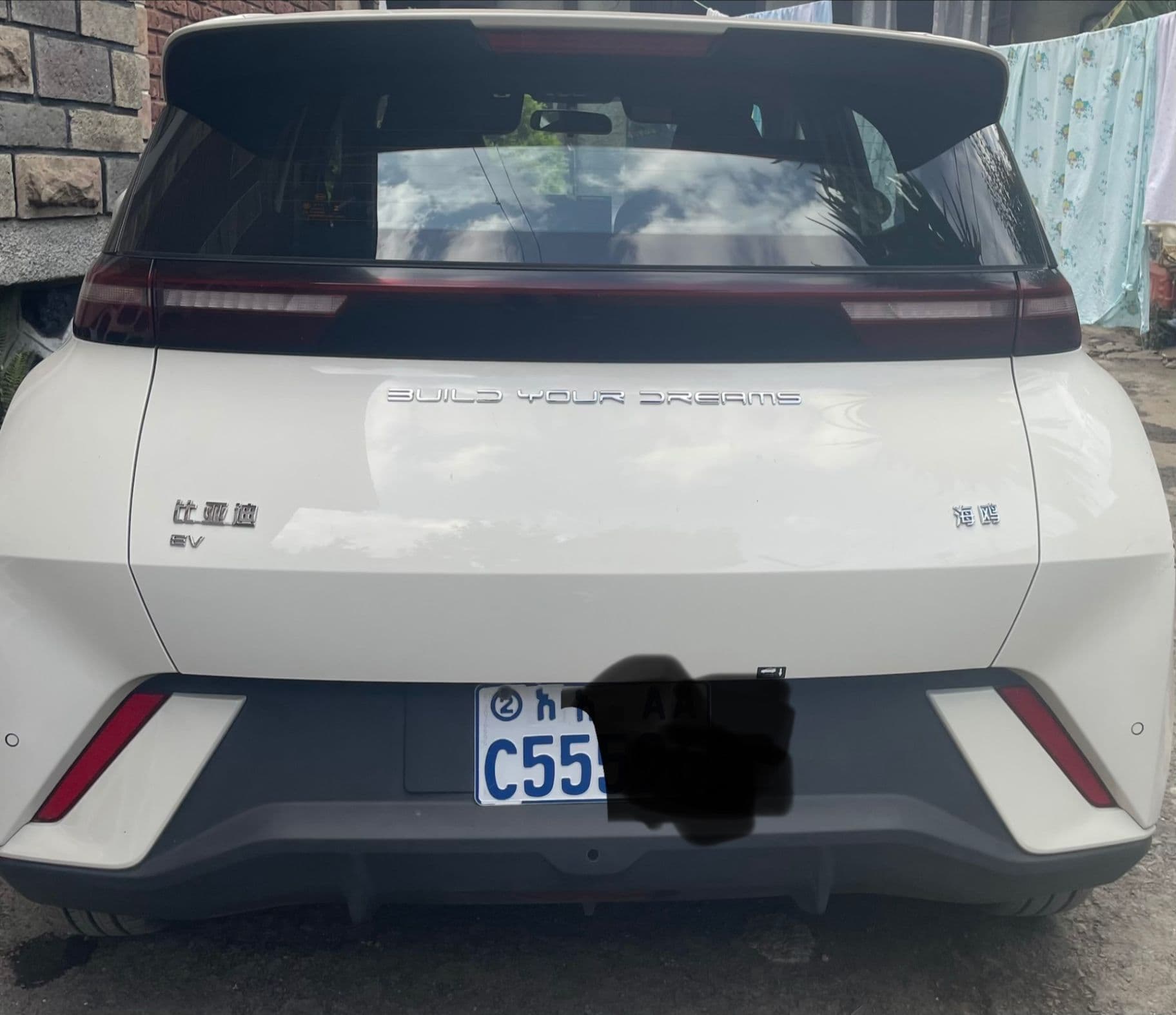 BYD Seagull 2024