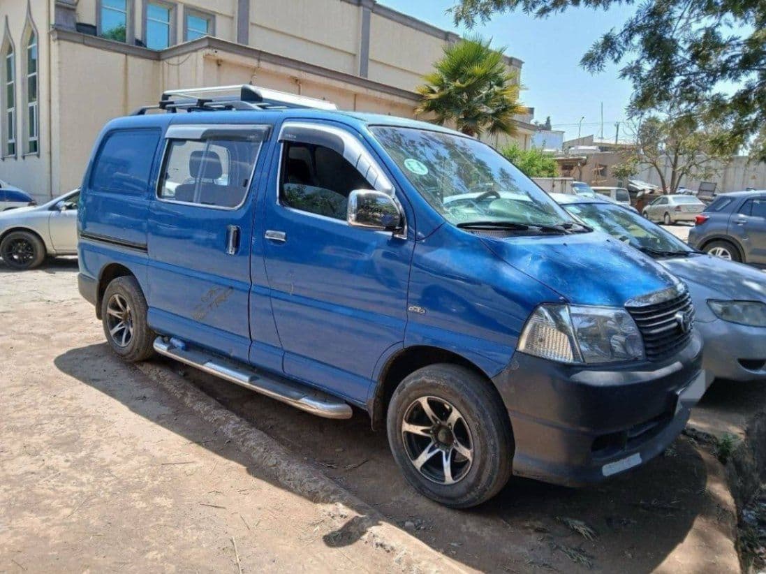 Dolphin D4D van