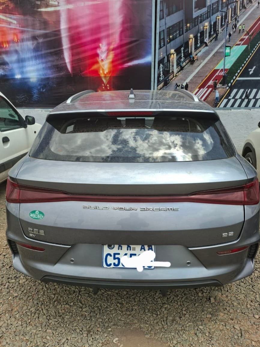 BYD E2