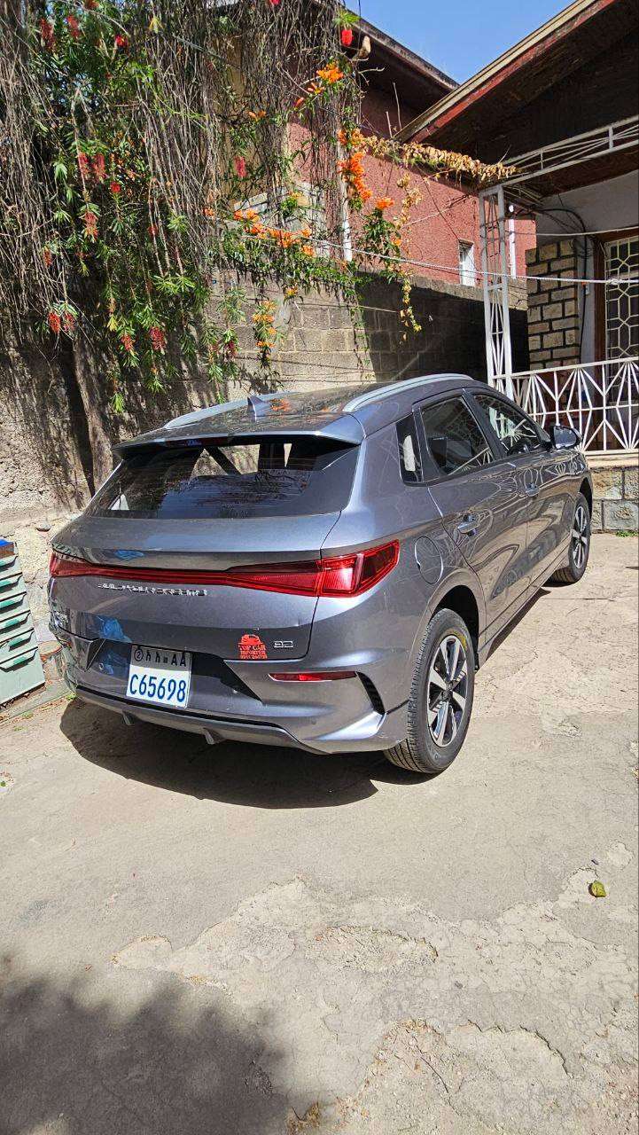 BYD 2 2025