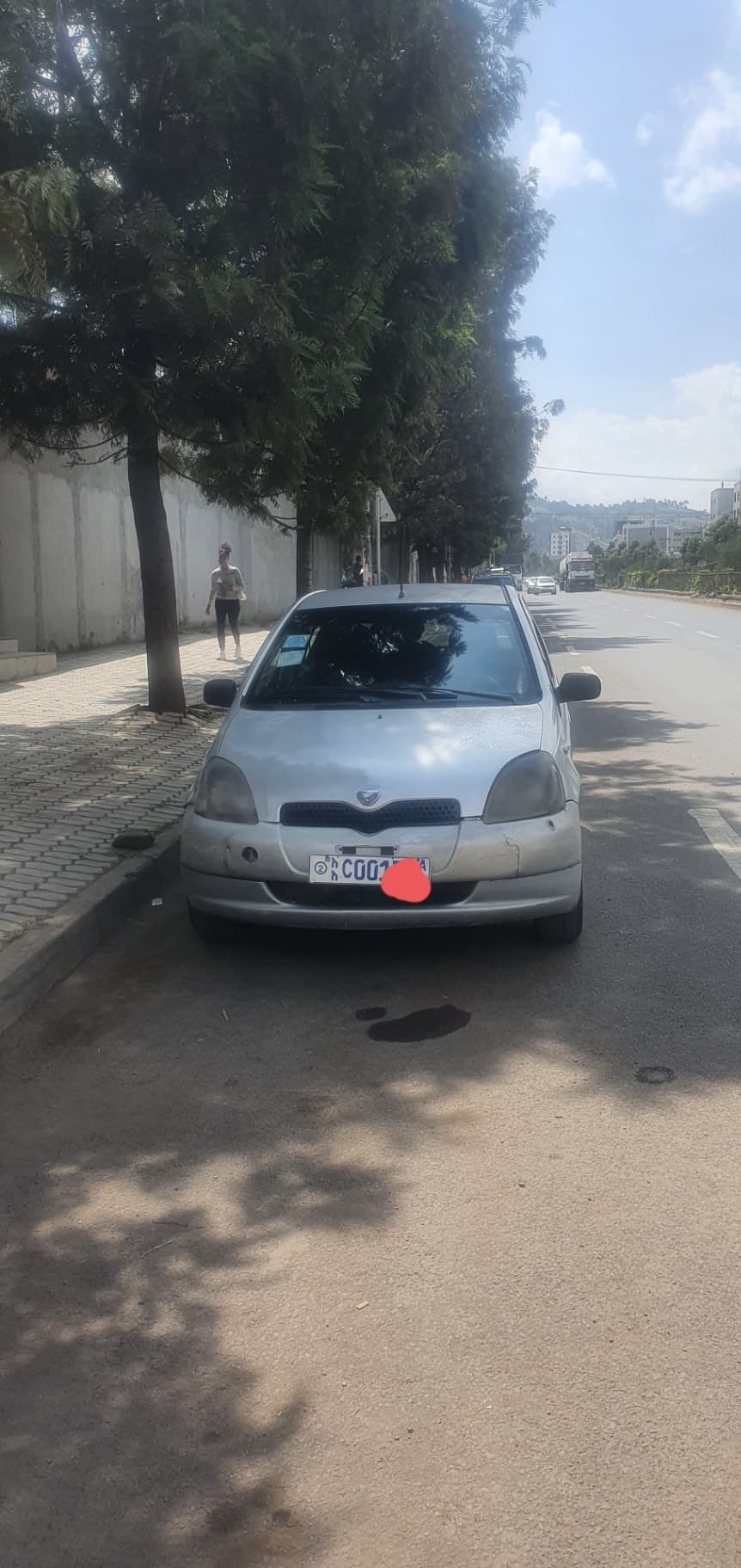 Vitz 2001