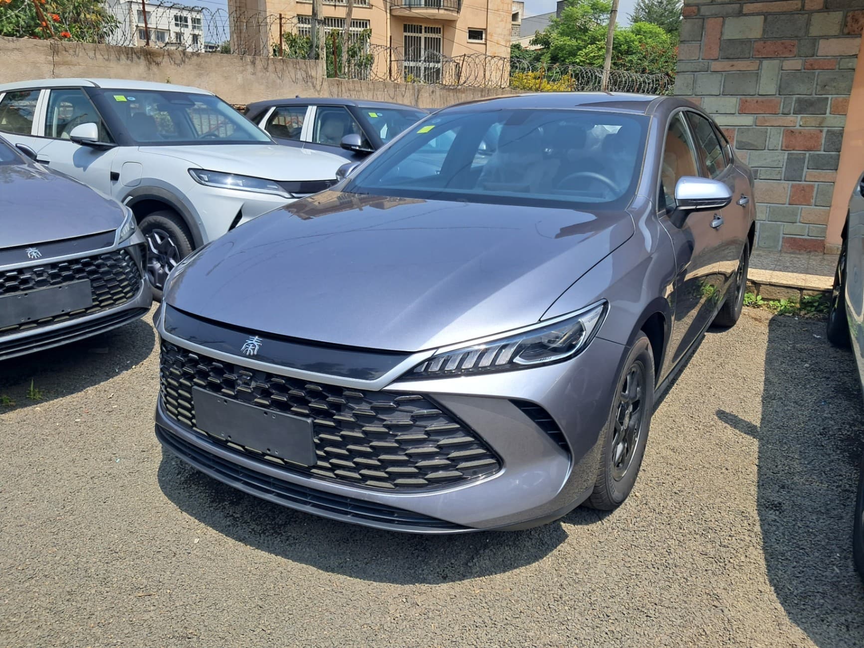 Byd qin plus