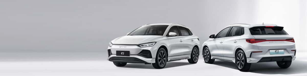 BYD E2
